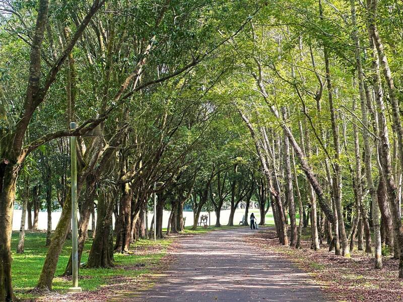 皮友、揮汗走路族快來！暨大6條主題步道 難易隨挑選