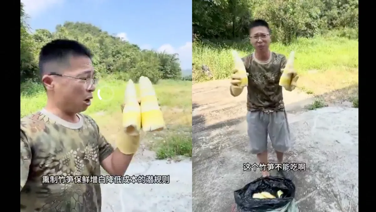 食安陷阱繼甲醛白菜又爆硫磺竹筍！黑心熏筍超標 毒物科醫師教挑選處理2招