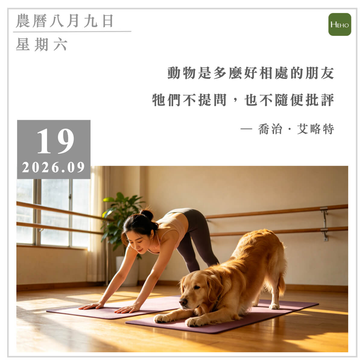 健康日曆｜動物是多麼好相處的朋友，牠們不提問，也不隨便批評（喬治艾略特）