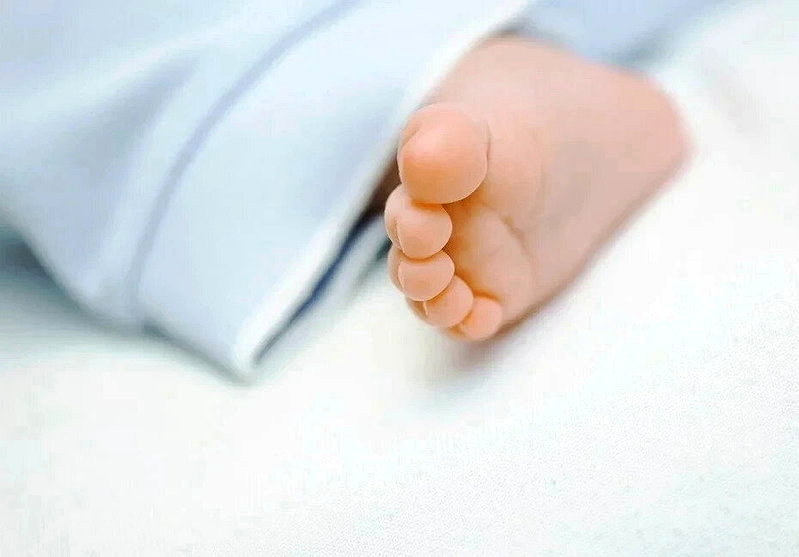 25名「訂製嬰兒」在台生產...婦兒盟呼籲：修法補足跨境人工生殖監管機制 - 倡議家
