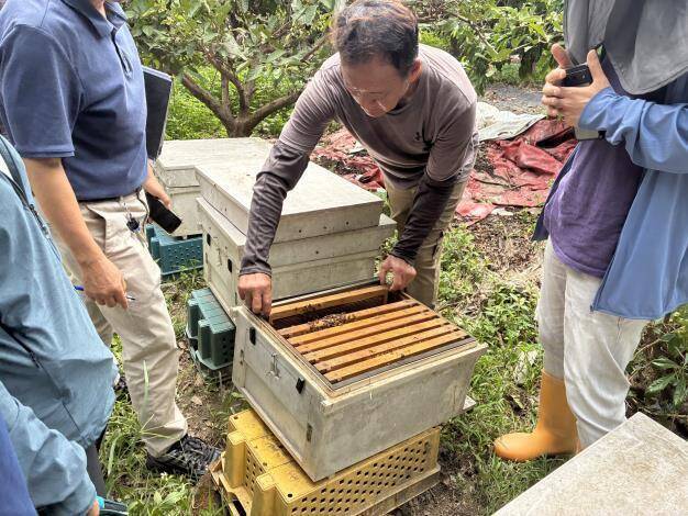 乾旱缺蜜源 竹縣蜂農現金救助、低利貸款開放申請