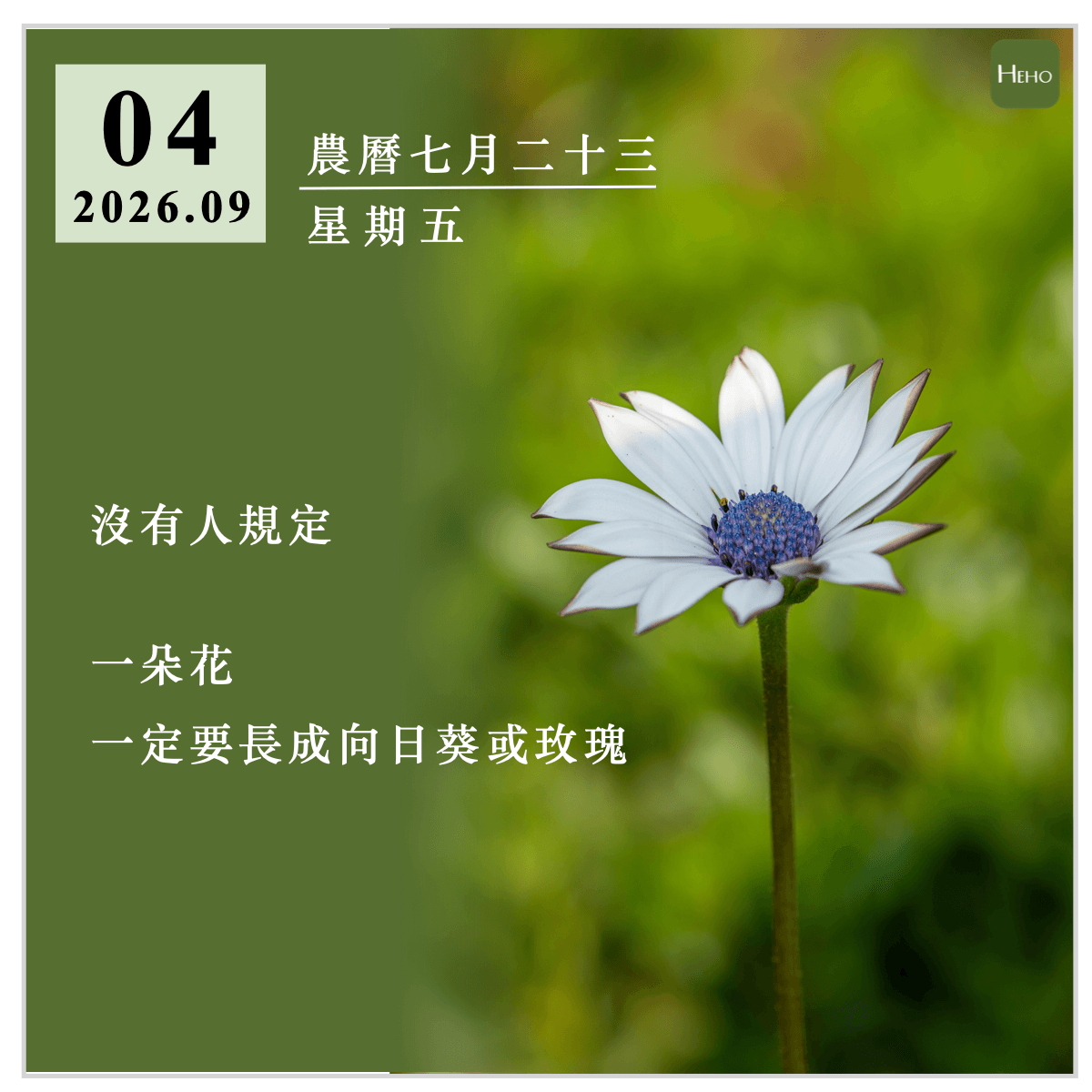 健康日曆｜沒有人規定一朵花一定要長成向日葵或玫瑰