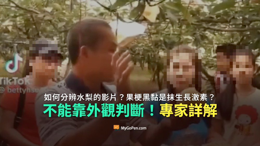【錯誤】如何分辨水梨的影片？果梗黑黏是抹生長激素？不能靠外觀判斷！專家詳解