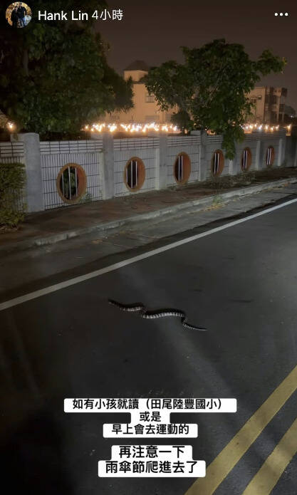嚇人！1.3米雨傘節竄進陸豐國小 民眾拍片急示警