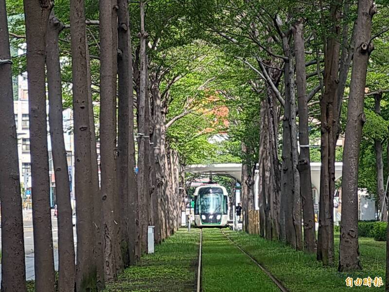 高雄輕軌兩隧道200樹裝傾斜儀 捷運局：樹「動」我知