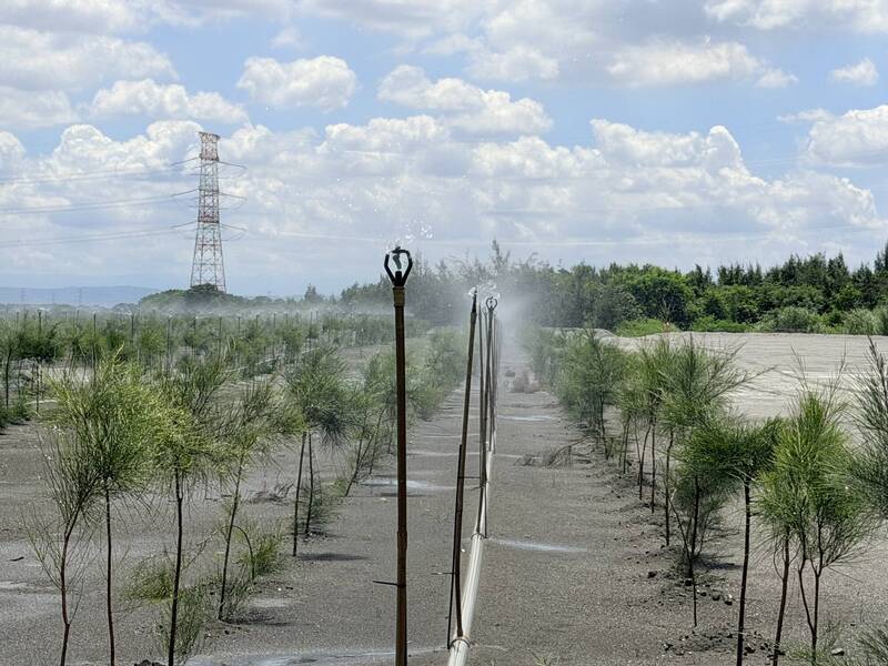裸露地大減！濁水溪上半年揚塵日僅2天 中央擬再編8.7億防制