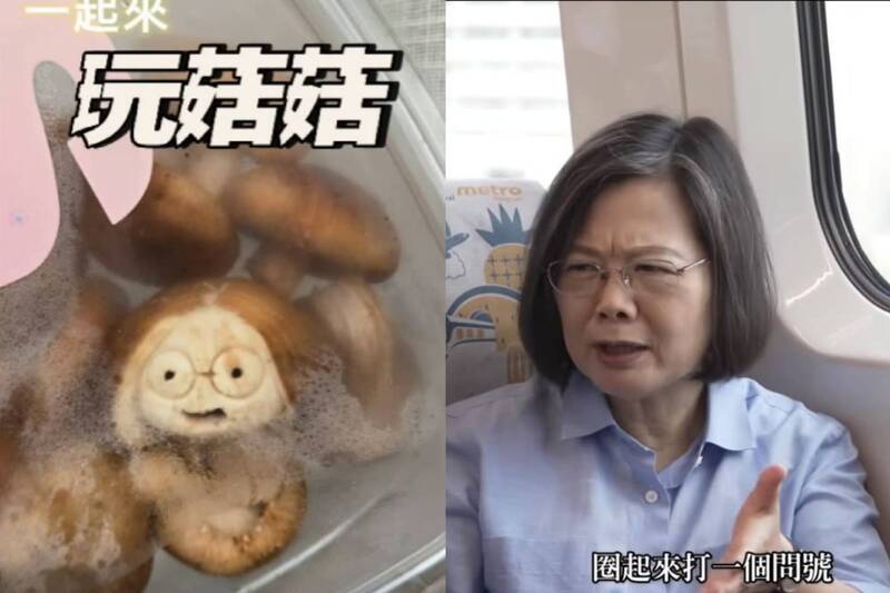 總統級玩哏！香菇小英釣出本尊「圈起來打一個問號」 笑翻全網