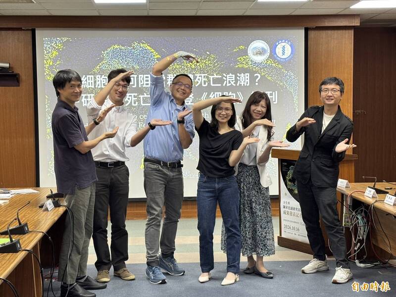 細胞也有天然防火牆！ 中研院揭開「鐵死亡」傳播關鍵