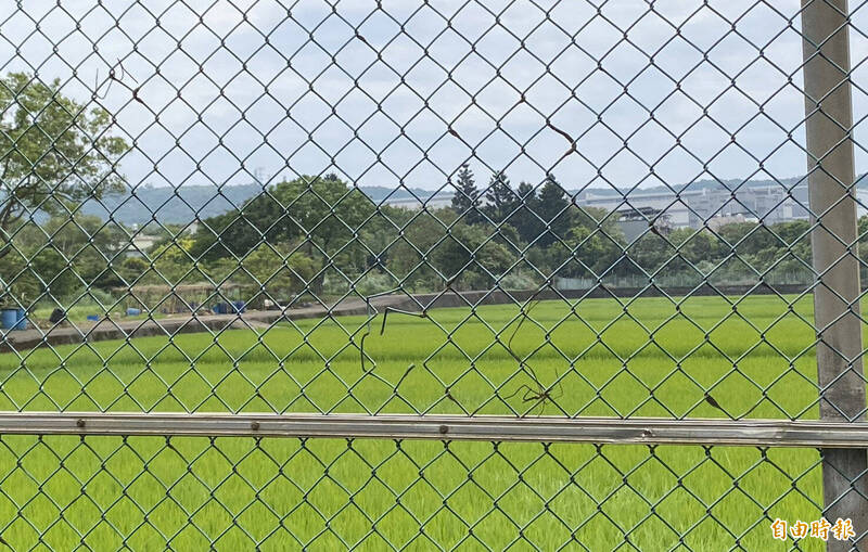 龍科三期開發啟動、地方憂「建設跟不上」 桃市府曝提前布局內容
