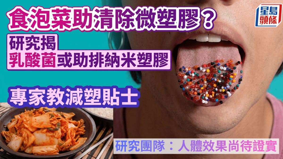 食泡菜清除微塑膠？研究揭乳酸菌或助排納米塑膠 附減塑實用貼士 - 星島頭條
