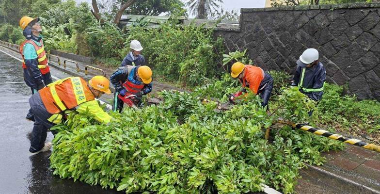 薔琵強風摧路樹 北投多處道路傳災情