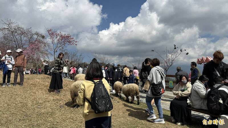 女友安排平日玩國旅！卻為了「這些事」與男友爭執