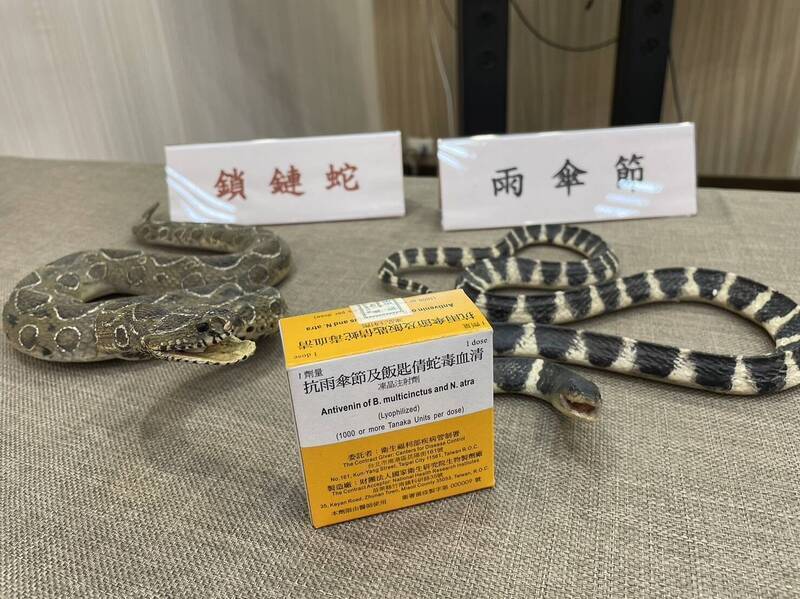 年捕蛇破2500件！ 南投竟沒這款致命毒蛇血清
