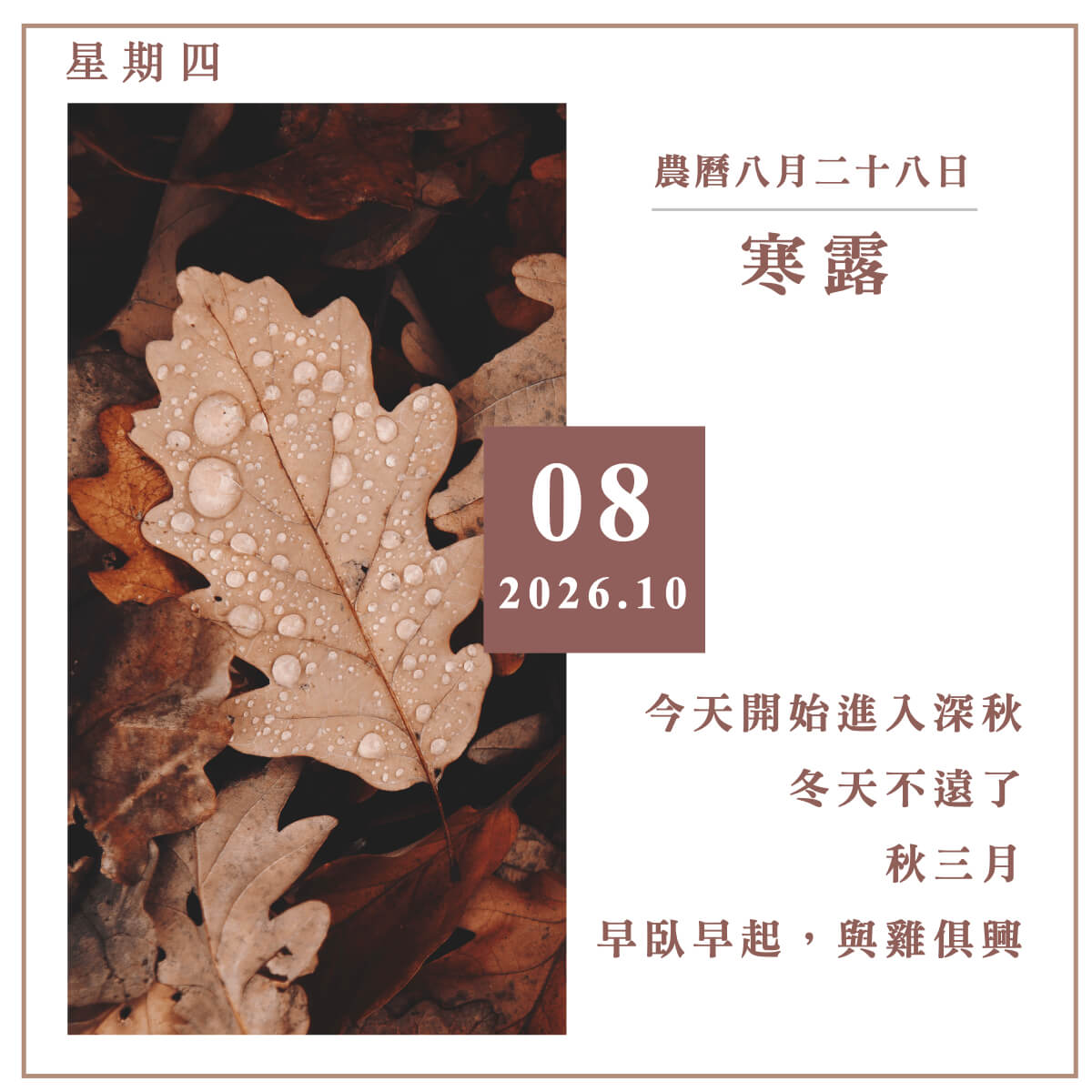健康日曆｜寒露：秋三月，早臥早起，與雞俱興《黃帝內經》