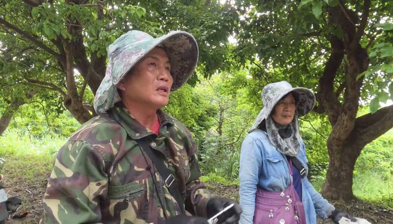 捉綠鬣蜥賺近百萬元禮券 屏東最強獵人是夫妻檔