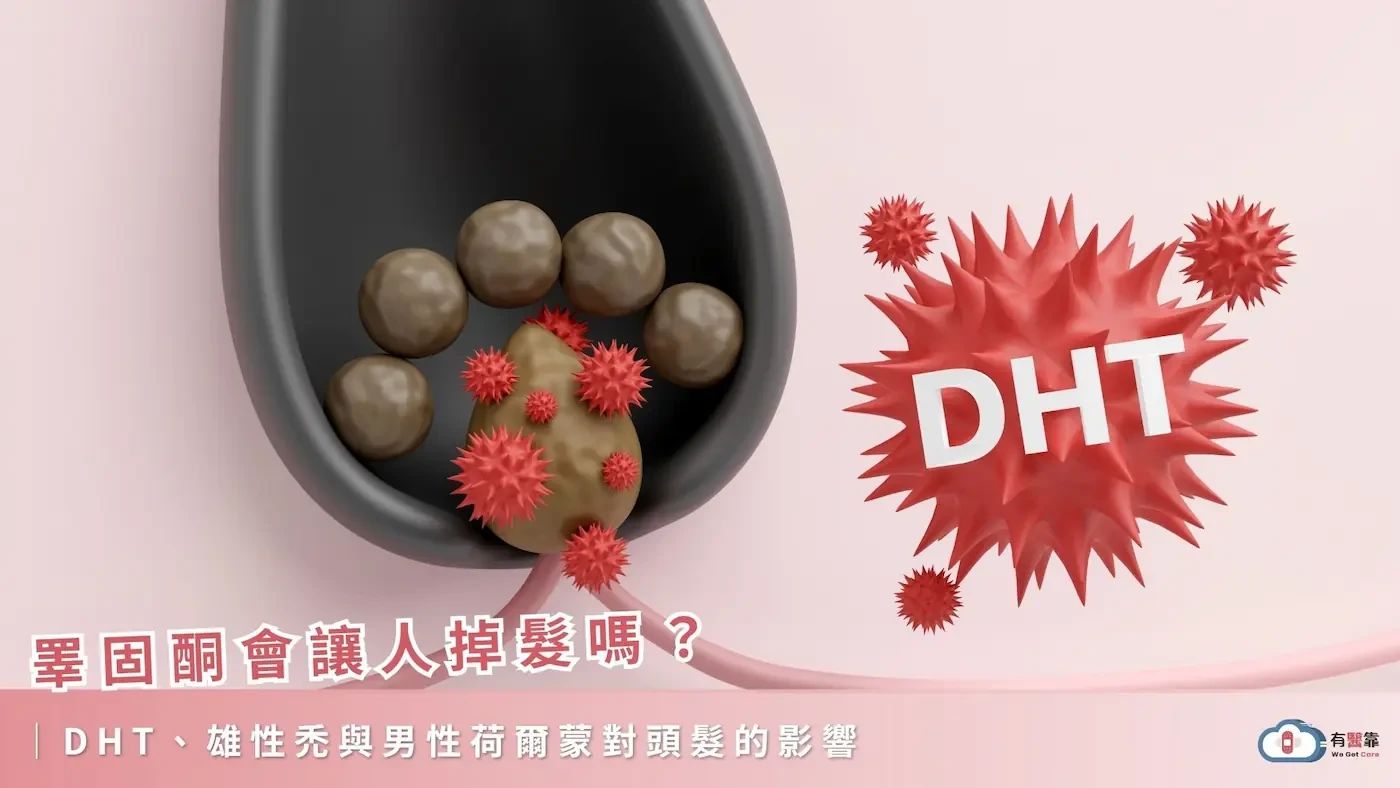 睪固酮會讓人掉髮嗎？DHT、雄性禿與男性荷爾蒙對頭髮的影響