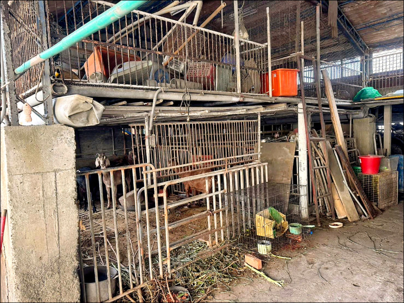 戴奧辛羊影響商譽、營損 嘉南羊乳提告飼主求償