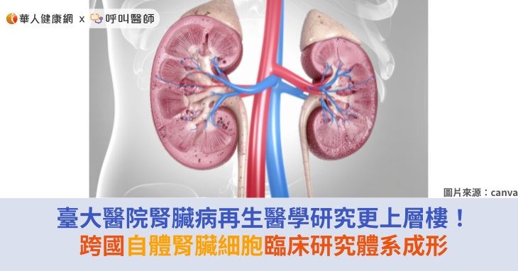 臺大醫院腎臟病再生醫學研究更上層樓！跨國自體腎臟細胞臨床研究體系成形