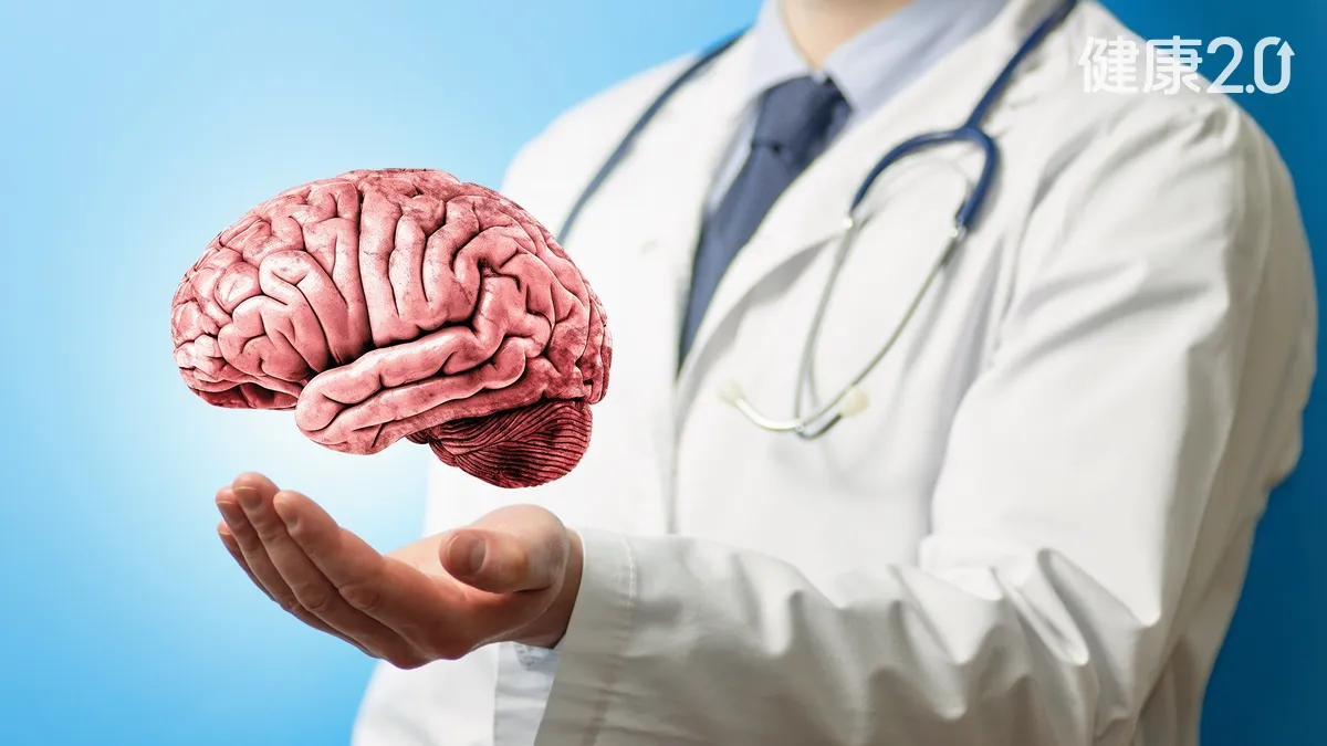 養生保健腦神經權威揭護腦關鍵！防大腦退化、失智 3件事一定要做
