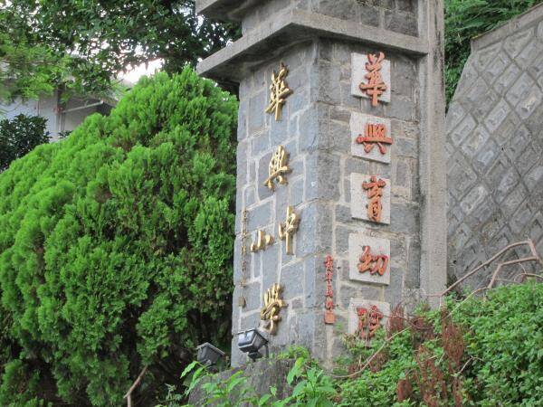 北市私校學生誤食「油桐子」送醫！ 校方︰好奇嘗試
