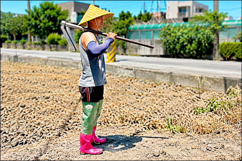 三重重新橋觀光市集 10/9裝扮農夫蔬果1元購