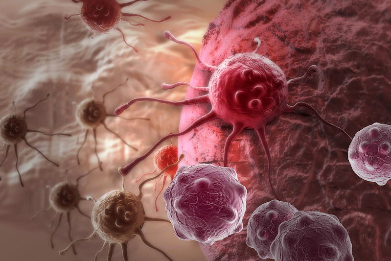 新研究揭癌細胞「斷糧」生存機制 助提高療效減輕副作用 - 世界新聞網
