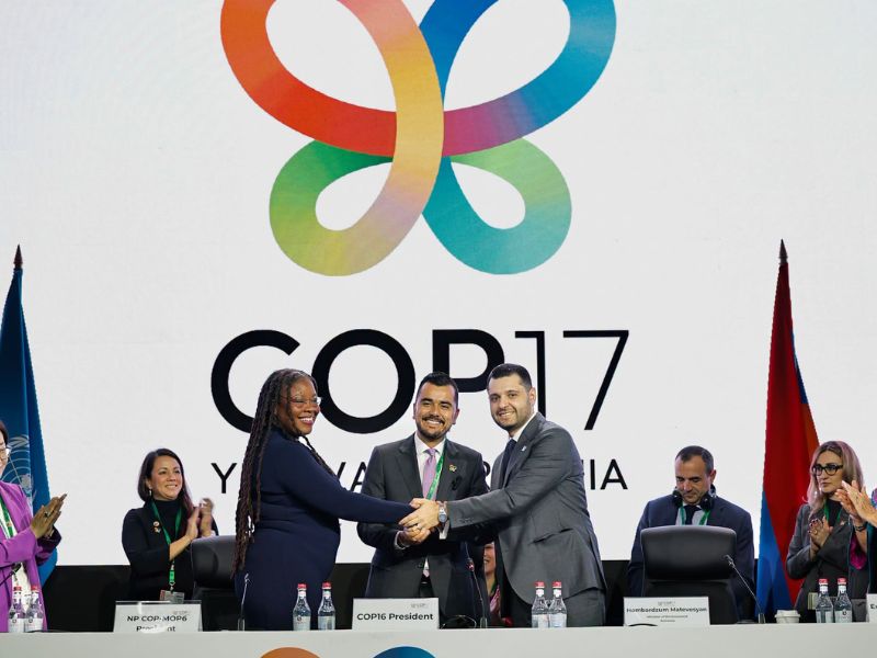 CBD COP17「為自然行動」在亞美尼亞登場！首份總體檢揭痛點：落實國家不到半數 - ESG遠見