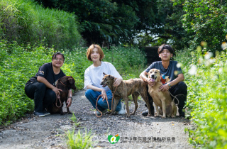 感謝淑臻來訪！用愛與溫暖照亮浪浪的生命 🐾❤️