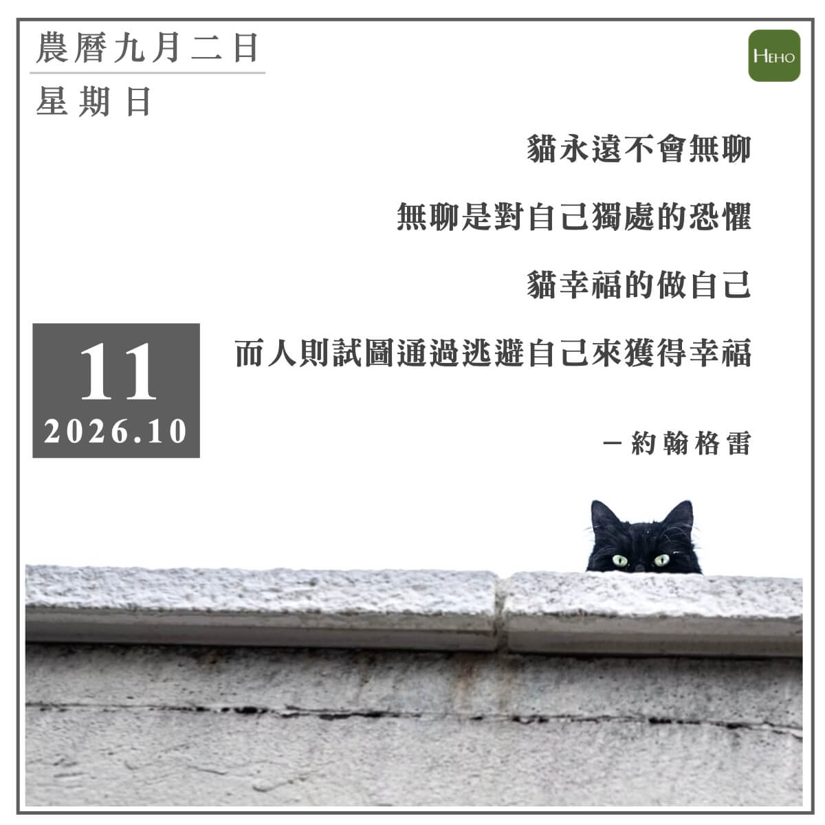 健康日曆｜貓永遠不會無聊，無聊是對自己獨處的恐懼（約翰·格雷）