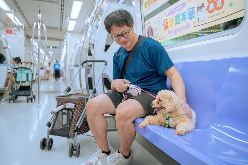 桃捷寵物友善列車8/2限定回歸  小狗可落地搭乘