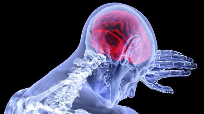 不是炸物！「這物」害人肥爆、中風機率增
