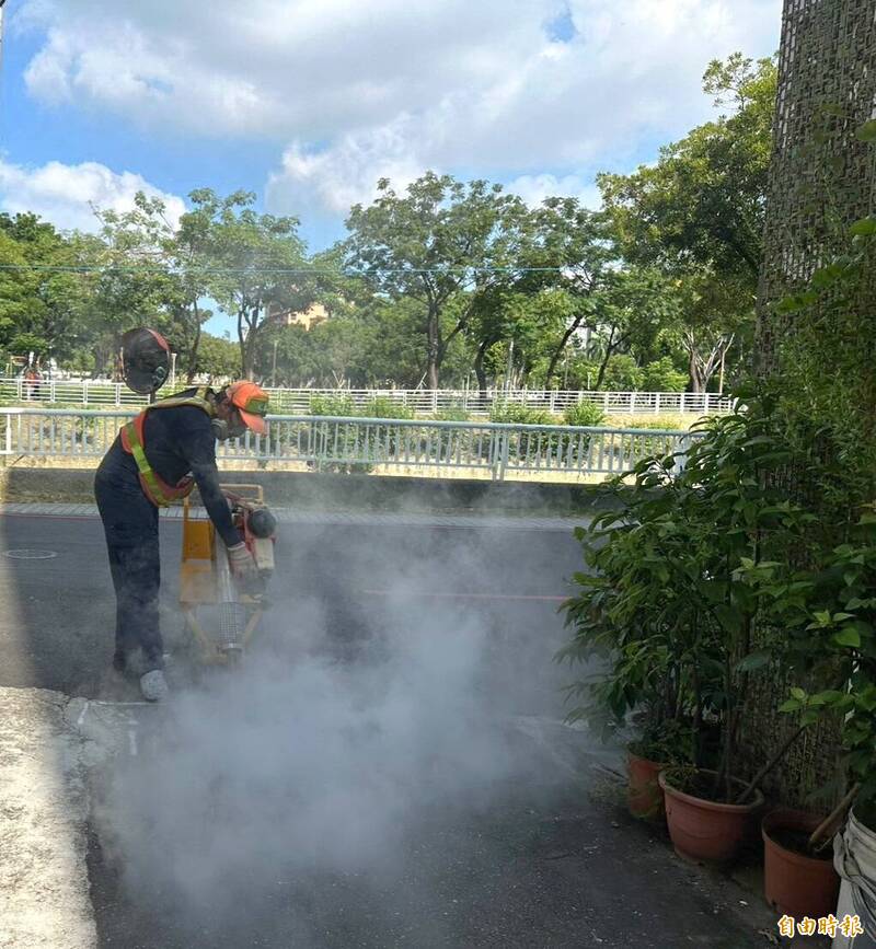 高市加強13區小黑蚊防治  除青苔、「這4種」香草植物可防蚊