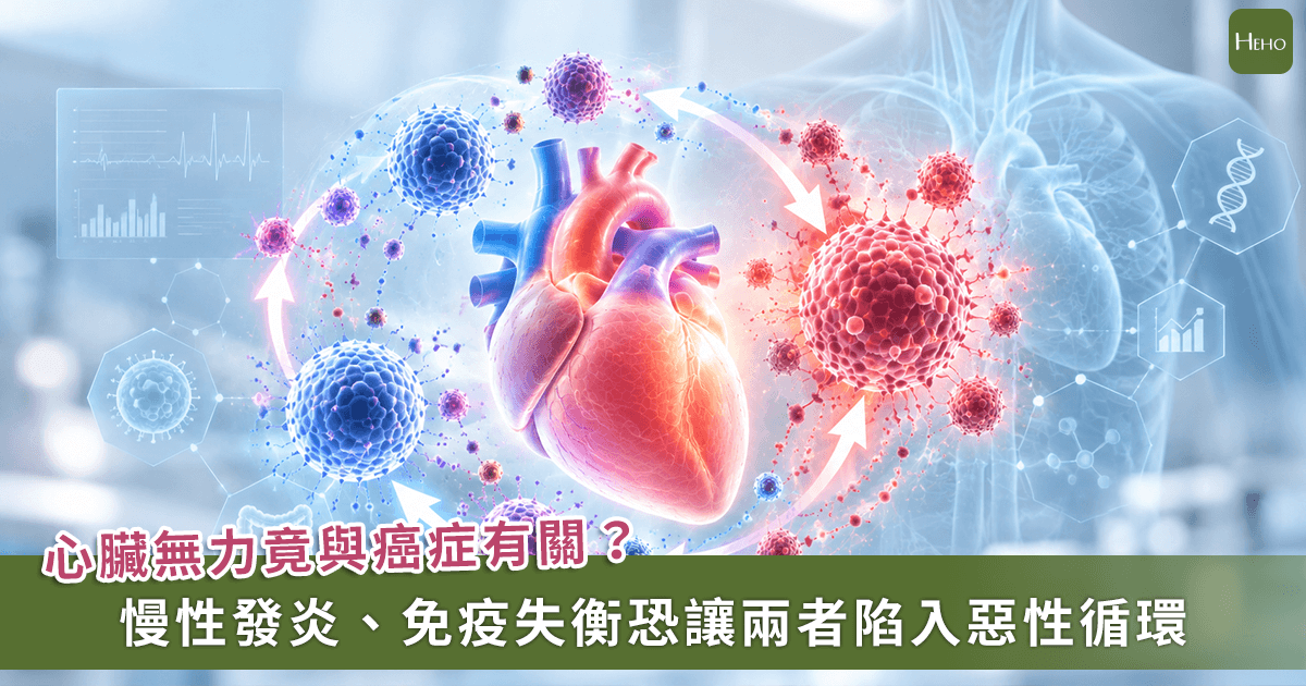 打破傳統認知！心臟衰竭是全身發炎失衡「應納入防癌全身性管理」