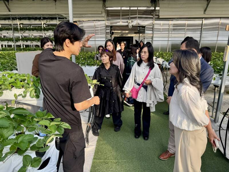 陳瑩助台東農產銷韓國 盼引入AI自動化溫室