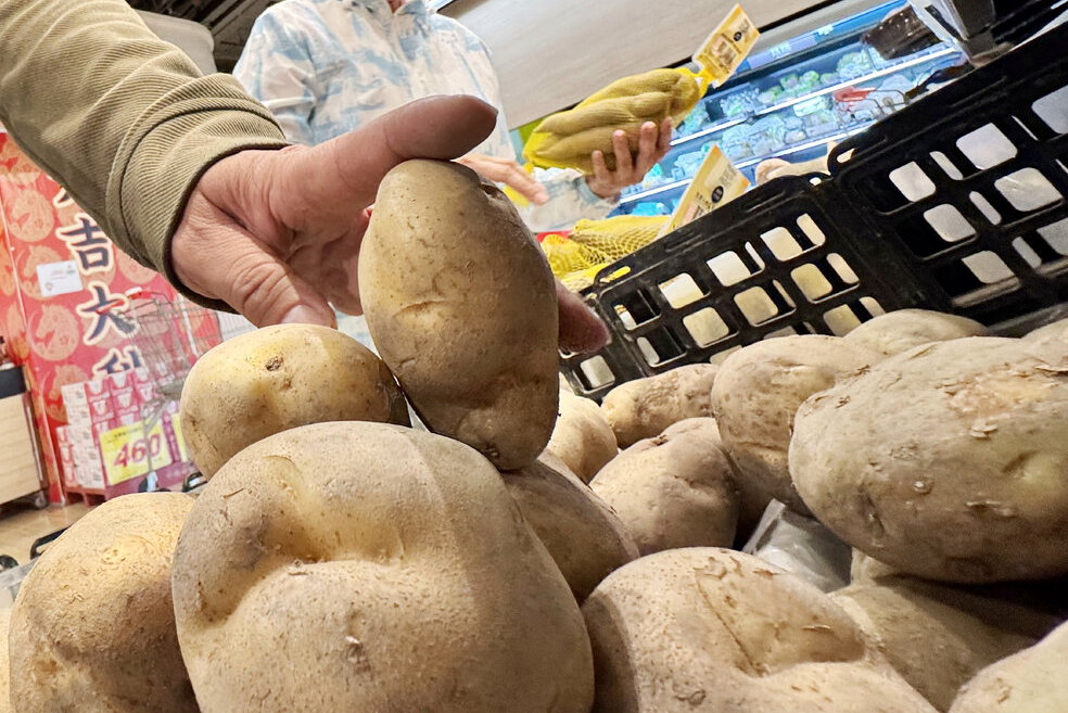 馬鈴薯吃起來「有苦味」還能吃？專家給答案了 皮變綠也別大意