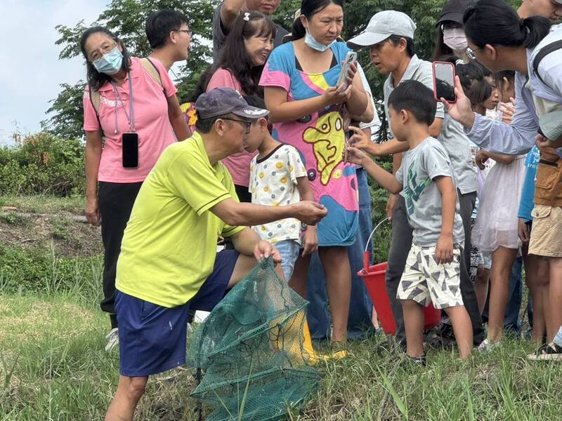 嘉縣農會推食農教育 民眾走進東石魚塭撈白蝦