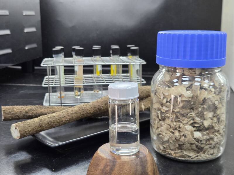 可研發皮膚保養產品 桃園場發現山藥薯皮尿囊素為薯肉5倍