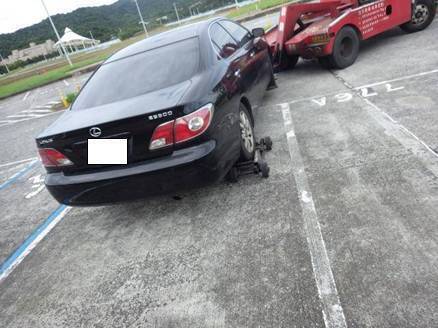 白海豚來襲關水門 北市晚間6時起拖吊河濱違停車輛