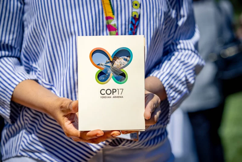 ESG每週必讀》綠能與AI加速生態危機？CBD COP17將登場，盤點「30 X 30」海陸保護進度 - ESG遠見