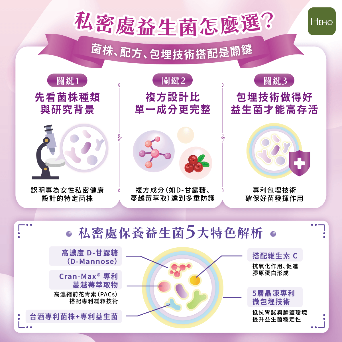 為什麼私密保養只靠喝水不夠？認識私密防護的神隊友「蔓越莓益生菌」