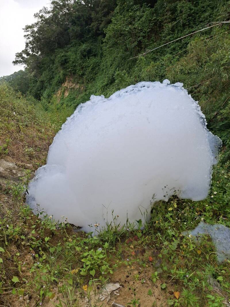 竹縣寶山雙林路野溪「美得冒泡」 魚蝦暴斃