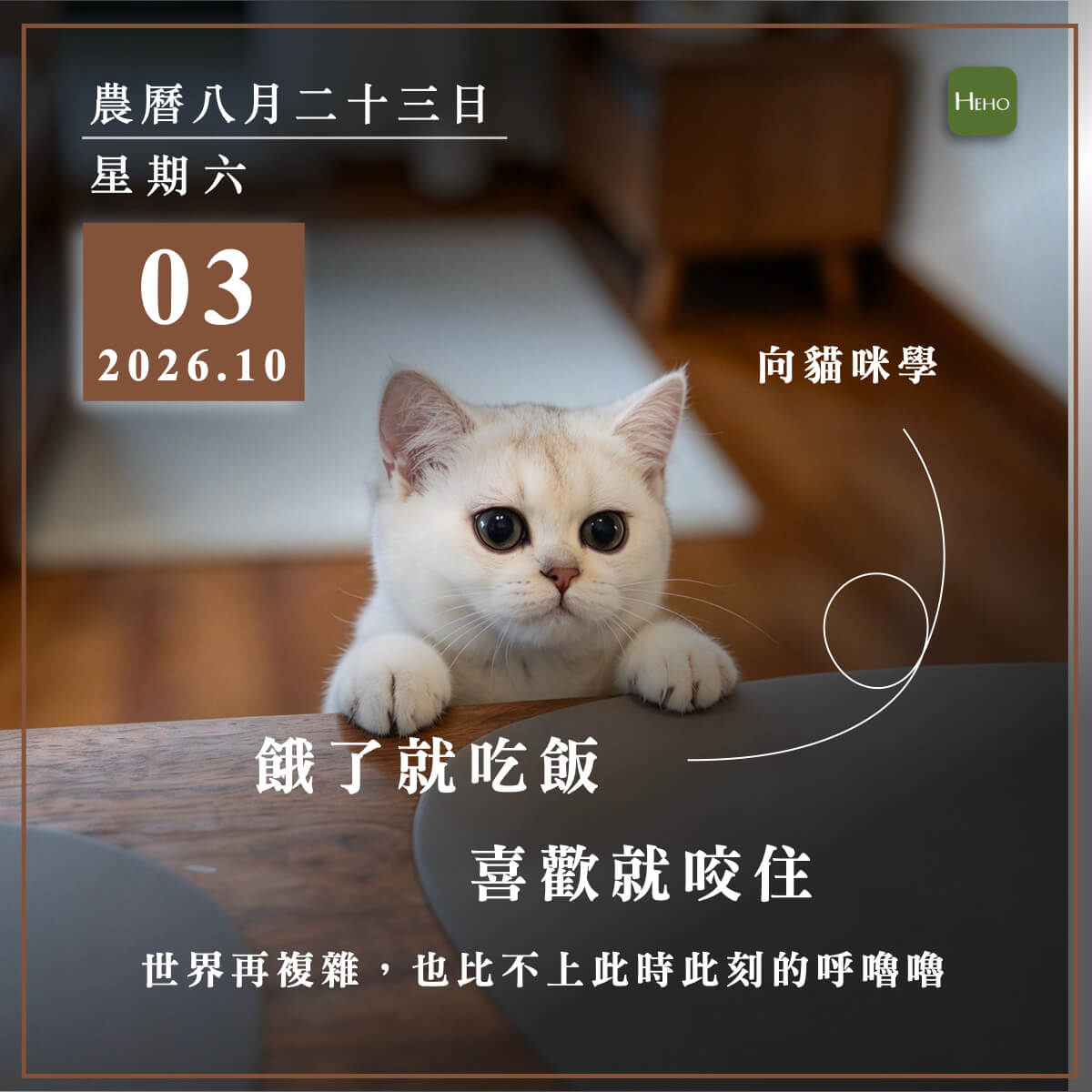 健康日曆｜餓了就吃飯，喜歡就咬住（貓系人生觀）