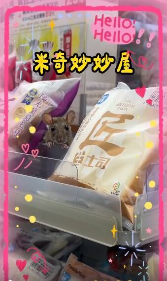 超商驚變「米奇妙妙屋」 網曝見本尊反應