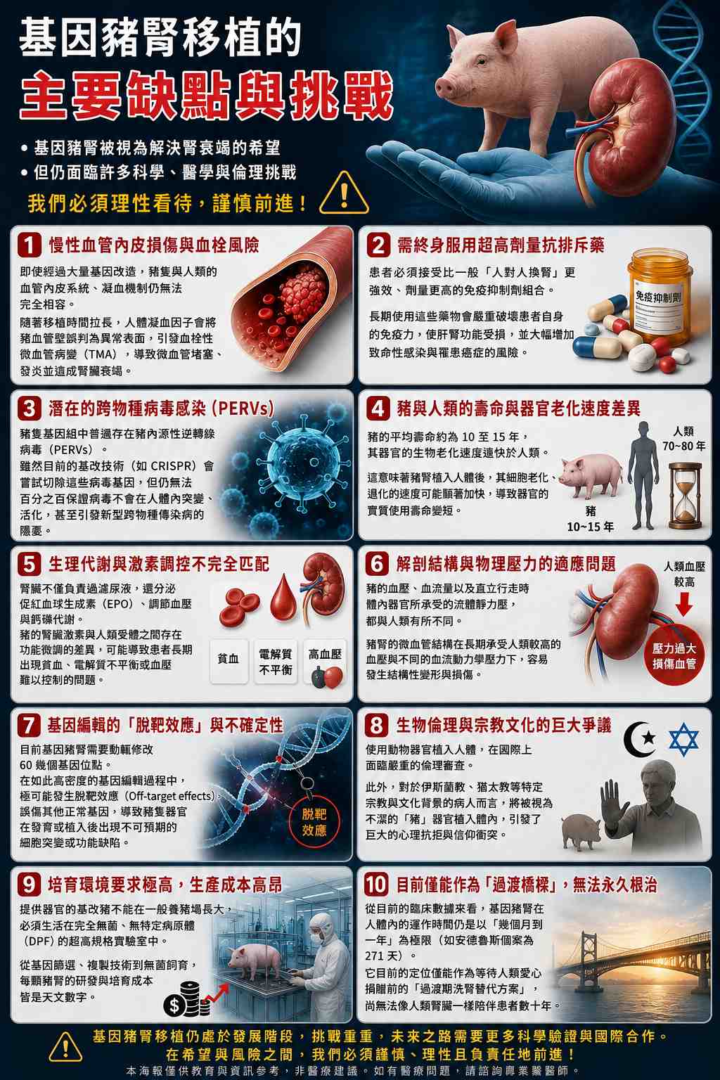 TWA00 加權指數- 基因豬腎移植的缺點與挑戰- 股市爆料同學會 - CMoney