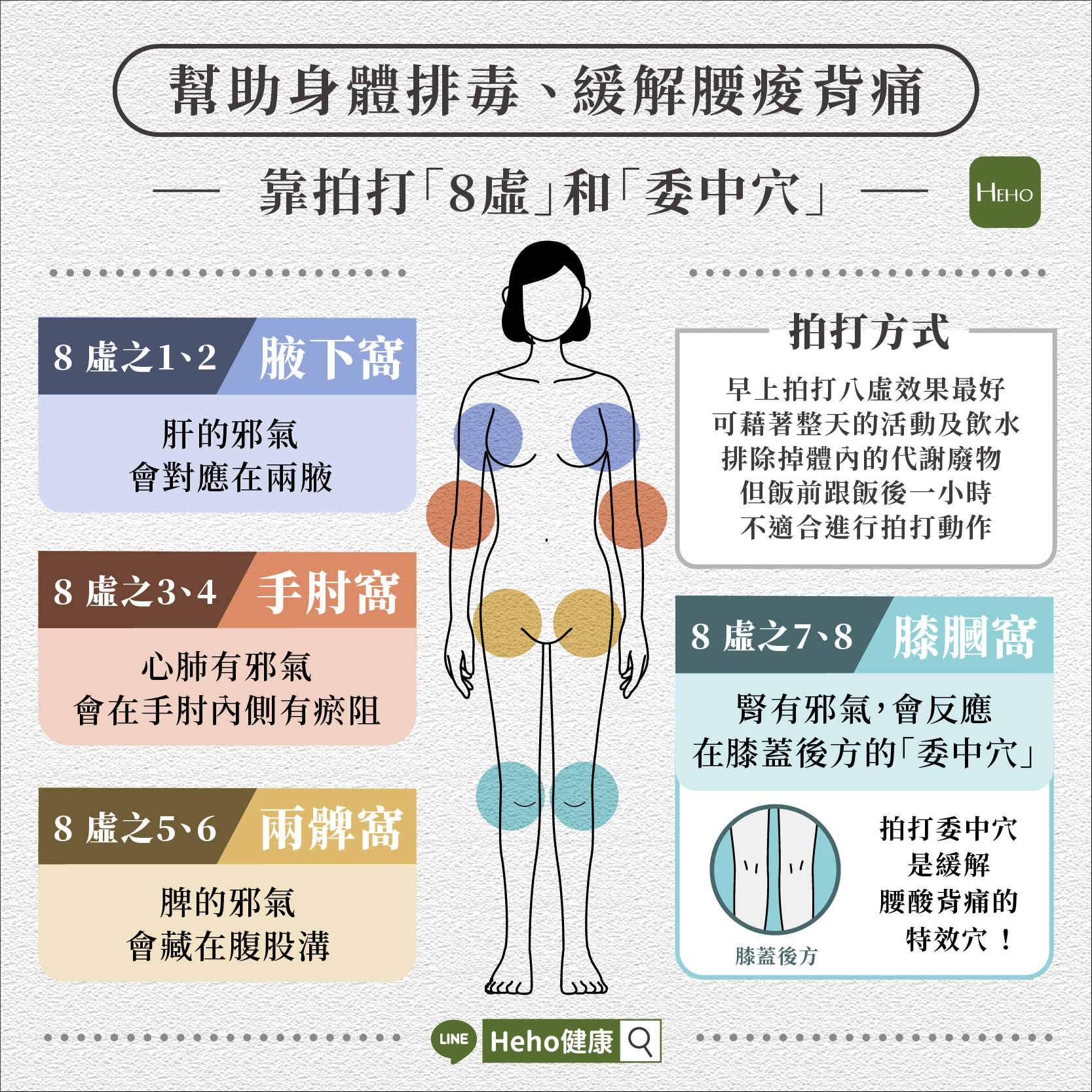 [圖解] 緩解腰痠背痛、幫助身體排毒！中醫師教正確拍打八虛與委中穴位置