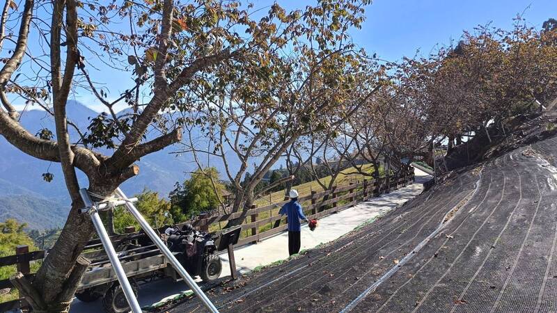 強颱薔琵來勢洶洶 清境今中午12點起預警性休園