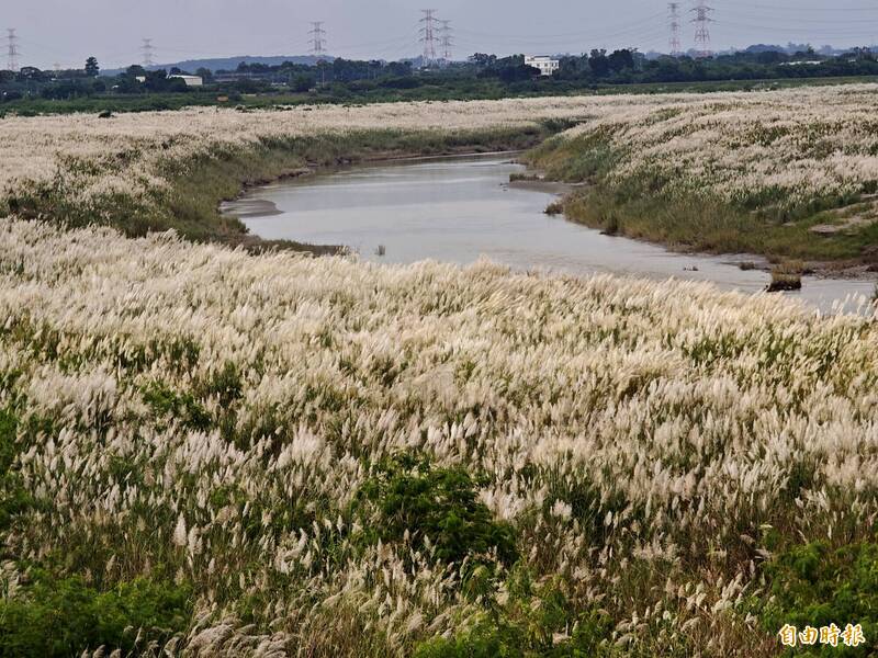 曾文水庫調節放水未達洩洪等級 台南大內「9月雪」美景再現