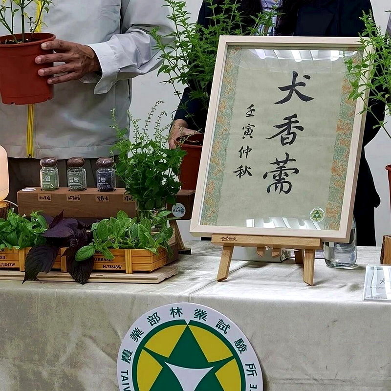 保育與生計也能雙贏？宜蘭雙連埤靠友善契作「痱子草」找到解方 - 倡議家