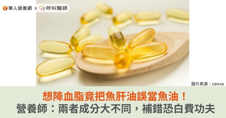 想降血脂竟把魚肝油誤當魚油！營養師：兩者成分大不同，補錯恐白費功夫