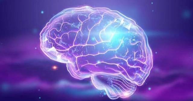 打破傳統認知！史丹福研究揭大腦由「兩套神經系統」 組成有望破解漸凍人症 - bastillepost.com